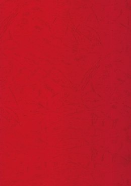 Karton do bindowania skóropodobny A4 czerwony 250g Titanum