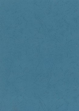 Karton do bindowania skóropodobny A4 niebieski 250g Titanum