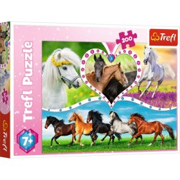 Puzzle Trefl Piękne konie 200 el. (13248)