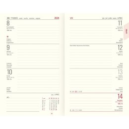 Kalendarz książkowy (terminarz) złoty linea Wydawnictwo Telegraph Best notesowy 140mm x 200mm (C4 23)