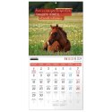 Kalendarz ścienny Kukartka classic Q Konie