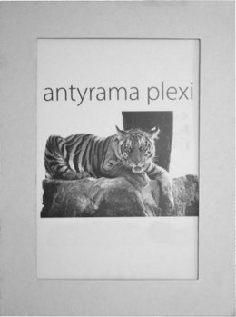 Antyrama Raw-West plexi [mm:] 600x800
