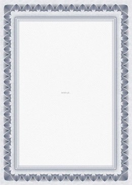 Dyplom Galeria Papieru arkady niebieskie A4 170g (210817)