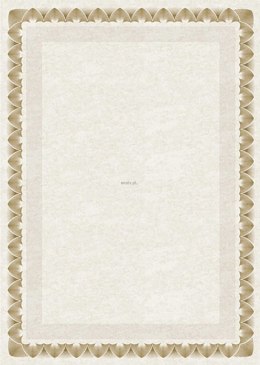 Dyplom Galeria Papieru arkady złote A4 170g (210717)