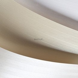 Papier ozdobny (wizytówkowy) Galeria Papieru A4 - biały perłowy 220g (200103)