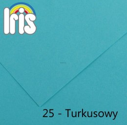 Brystol Canson Iris 25 B1 turkusowy 240g 25k [mm:] 700x1000 (200040464)