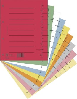 Przekładka numeryczna Donau A4 mix kolorów 250g 100k 1-10 [mm:] 235x300 (8610001S-99)