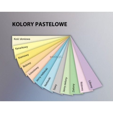 Papier kolorowy Emerson 6093 A4 kość słoniowa 160g (xem416093)