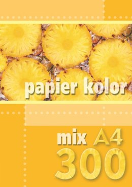 Papier kolorowy Kreska A4 - mix 80g [mm:] 210x297