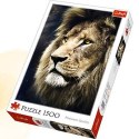 Puzzle Trefl Portret lwa 1500 el. (26139)