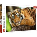 Puzzle Trefl Portret tygrysa 500 el. (37397)